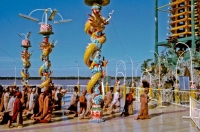 CHUYỆN VỀ ÔNG "ĐẠO DỪA"