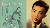 Bài hát Hoa Trinh Nữ và câu chuyện tình Trần Thiện Thanh – Minh Hiếu