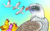 Bài học từ Đại Bàng & Gà